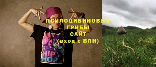 соль курить ск Горно-Алтайск
