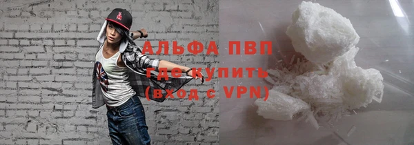 гидра Горняк
