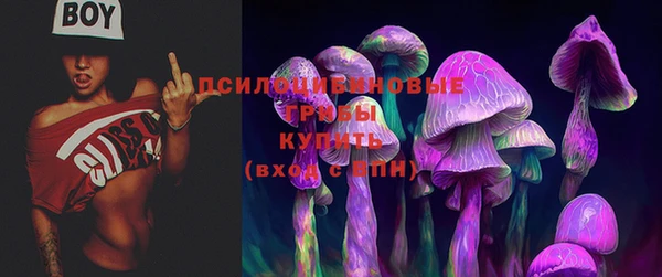 наркотики Гусь-Хрустальный