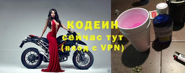 гидра Горняк