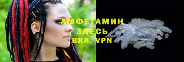 гидра Горняк