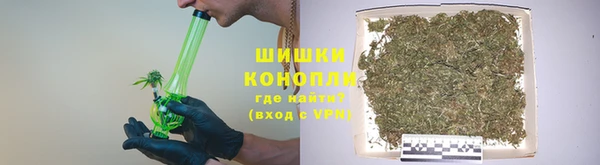гидра Горняк