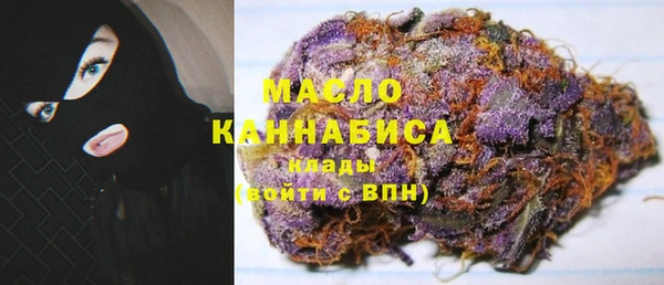 гидра Горняк