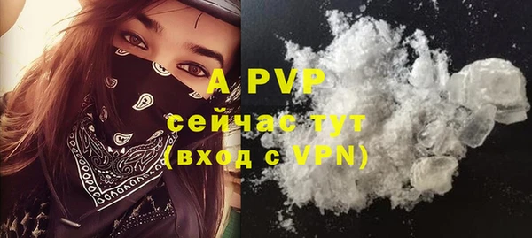 гидра Гусев